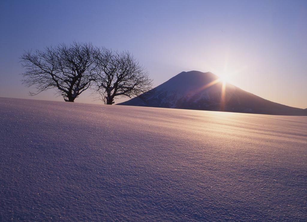 湯元ニセコプリンスホテルひらふ亭 ニセコ町 エクステリア 写真